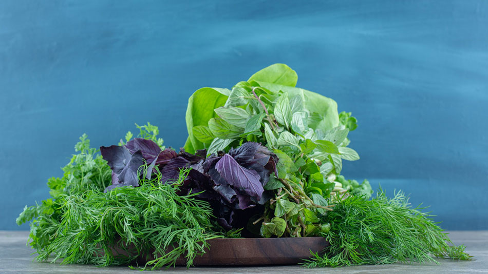 Dark Leafy Greens: The Unsung Winter Warriors